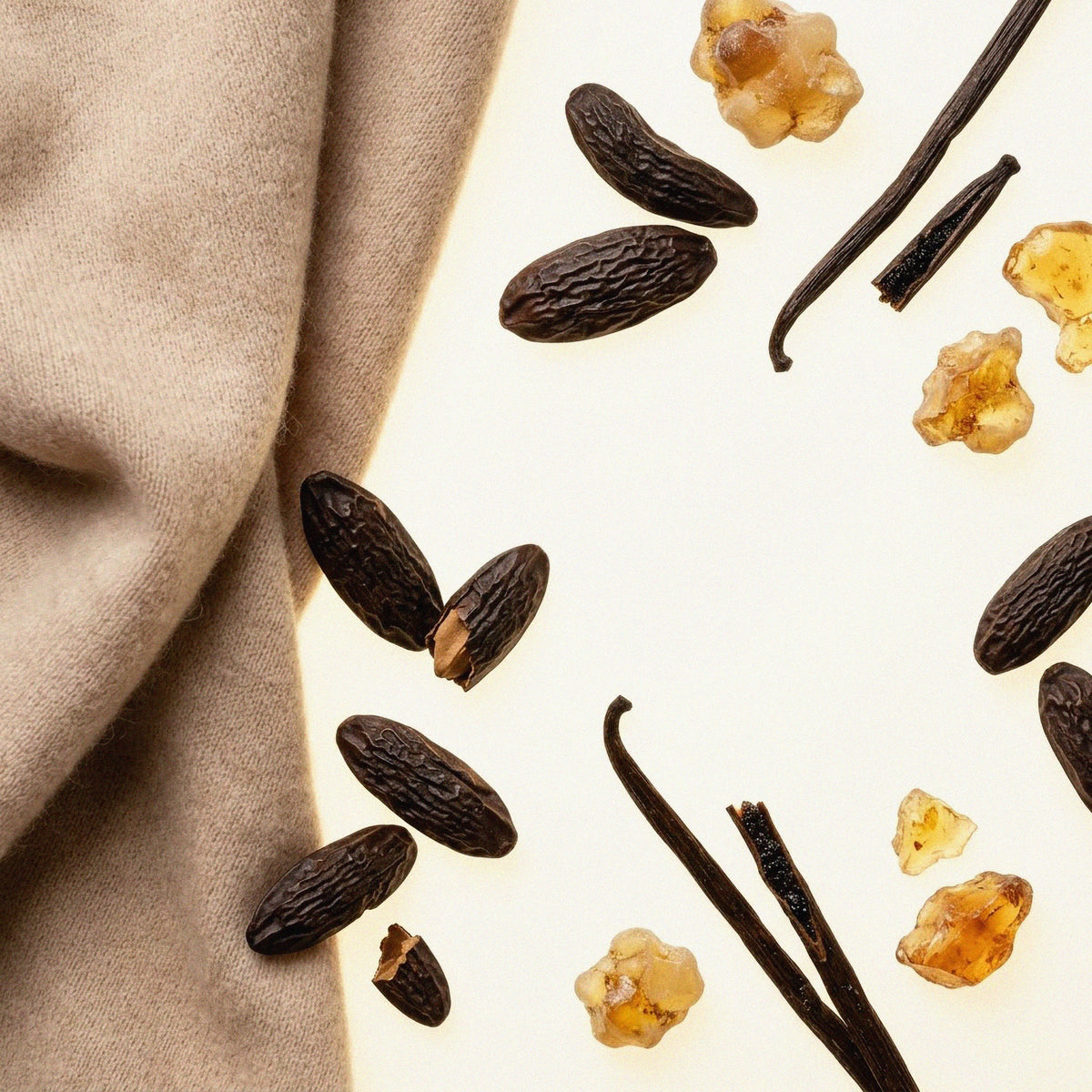 CASHMERE & TONKA EXTRAIT