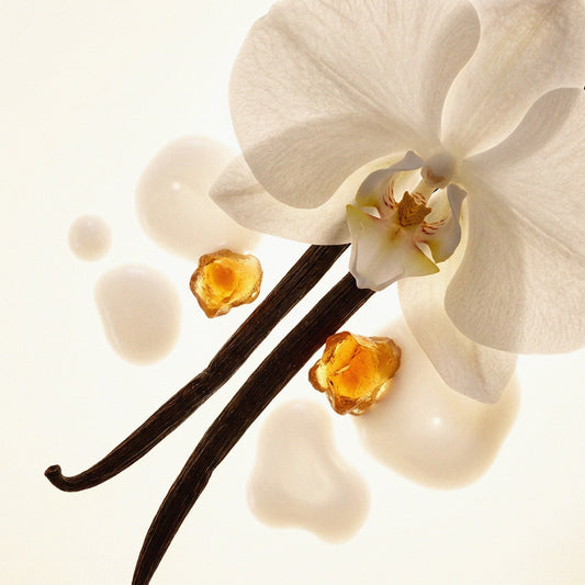 VANILLA PEARLS EXTRAIT